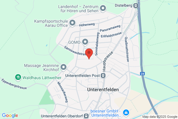 Wushu Akademie Schweiz
