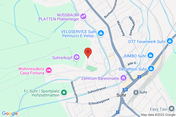 Stiftung fuer Gesang und Musik
