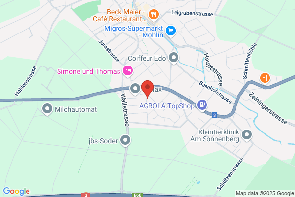MALFLEX Junuzi Malerfirma Basel