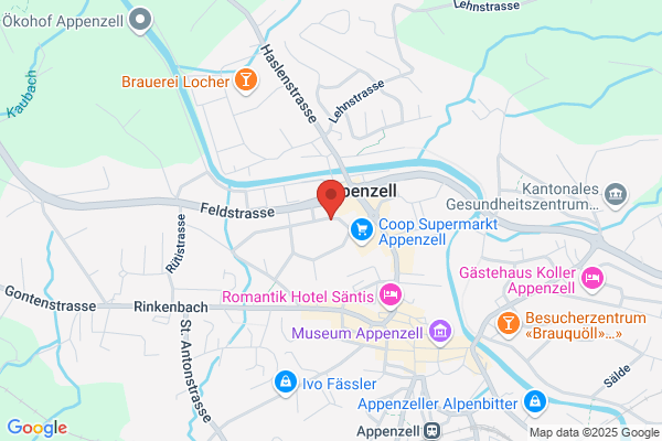 Basler Versicherungs- Gesellschaft
