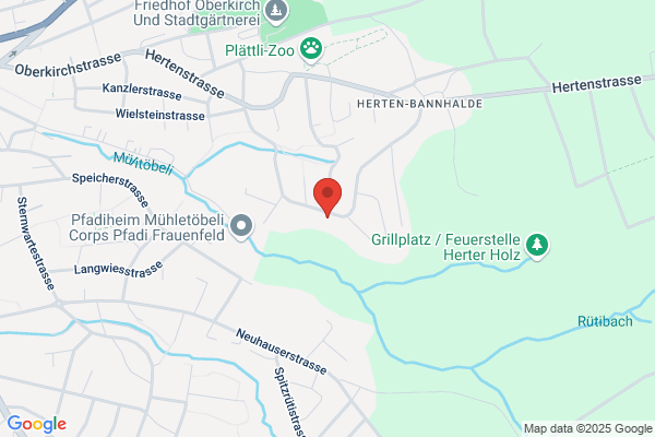 SUPPORT 4x4 Handel und Organisation Ed. Steinemann