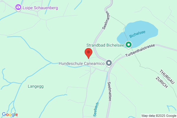 Yamagishi Vereinigung (Schweiz)