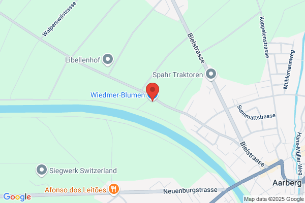 Wiedmer-Blumen AG