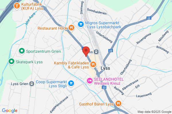 Informatikschule Lyss Moser
