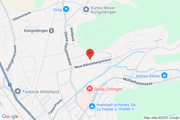 Hanspeter Graber Kuengoldingen