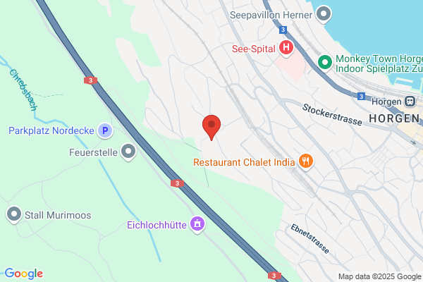 Hans Rudolf Menzi