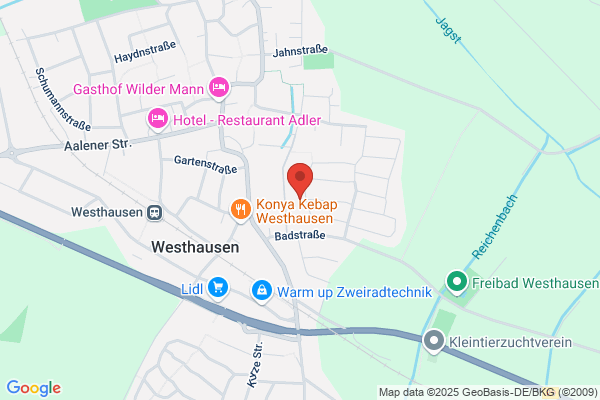 SECAS Schweizerischer Sicherheitsdienst