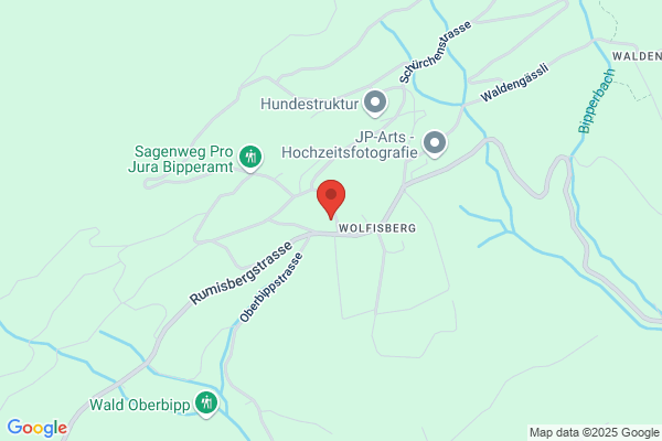 Hotel-Restaurant Alpenblick Wolfisberg