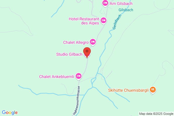 Pension Skiheim Gilbach