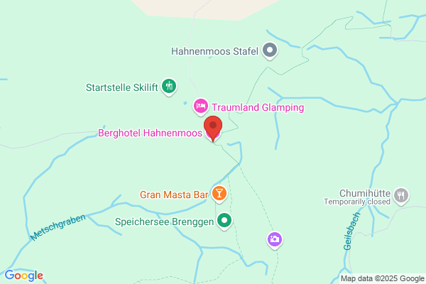 Hotel Hahnenmoospass