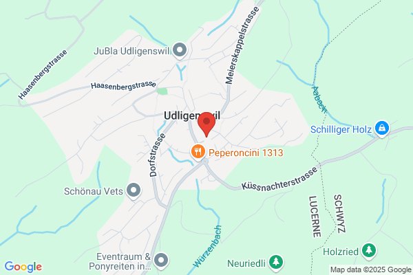 Architekturbuero W. Dommann