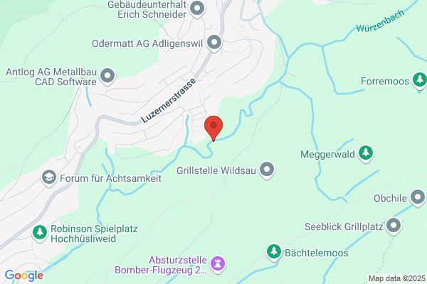 Ruedi Buerkli