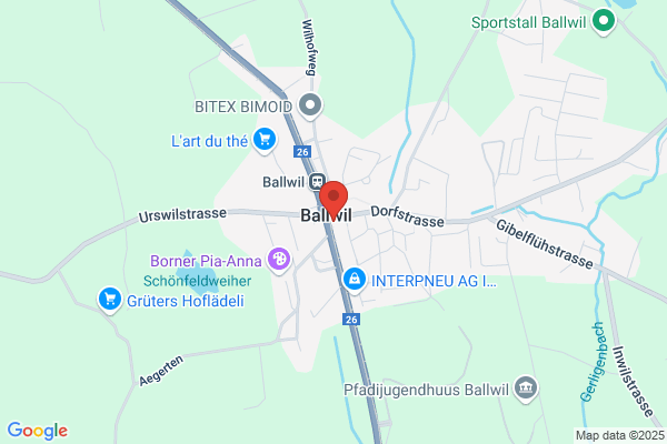Kauz Informatik medien
