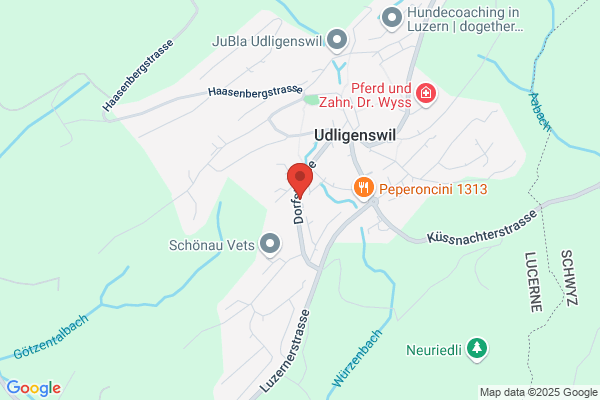 Frohsinn