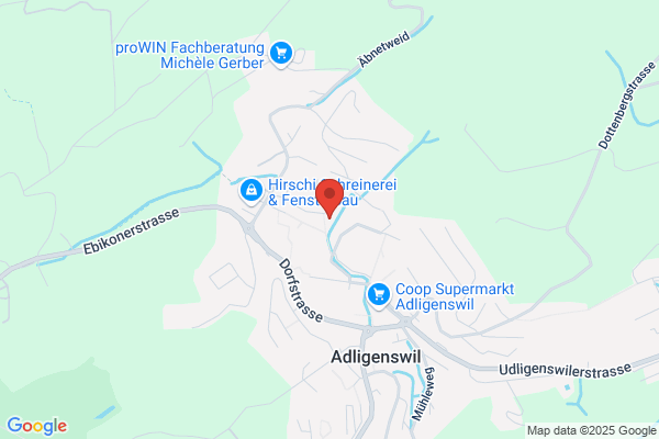 Meeting Switzerland