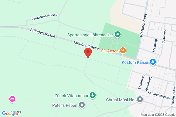 Kosmetikinstitut + Kuenstler- puppenboutique R. Steiner