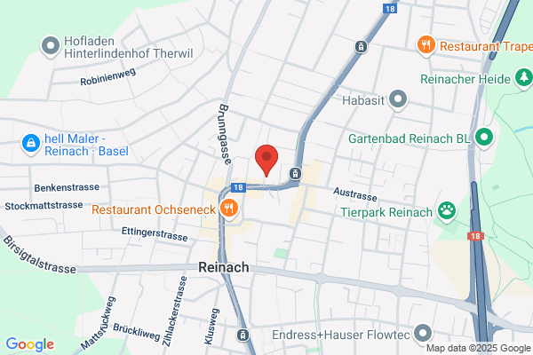 Ritter Reisen Reinach