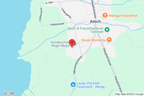Kestrel Outsourcing und Procurement Services GmbH