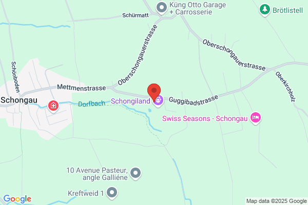 Erni AG Holzbau