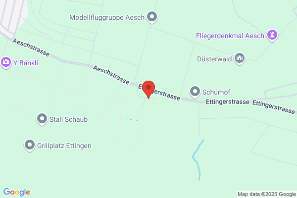 HFS-Consulting Schulze