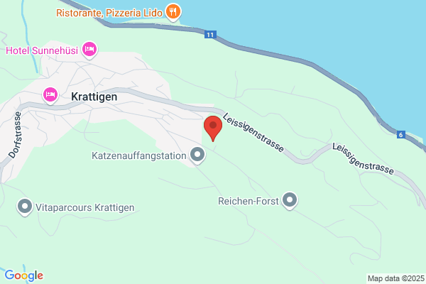 Sicherheit Bichsel GmbH