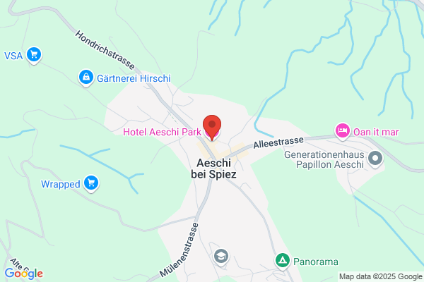 Hotel Niesen