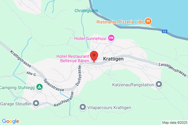 Hotel-Restaurant Baeren