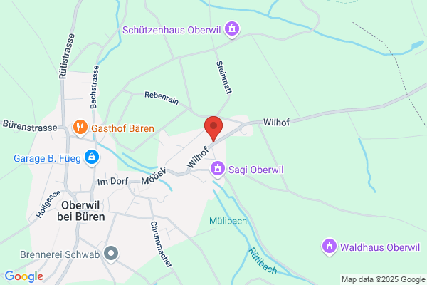 Bolliger Holzbau und Co.