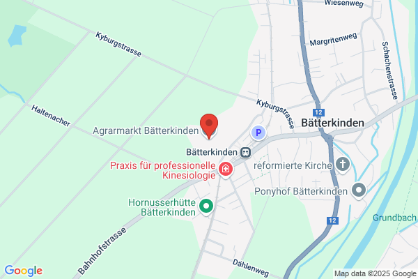 Landi Landshut