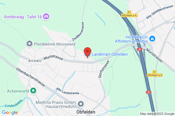 LANDI OBFELDEN, Gen.