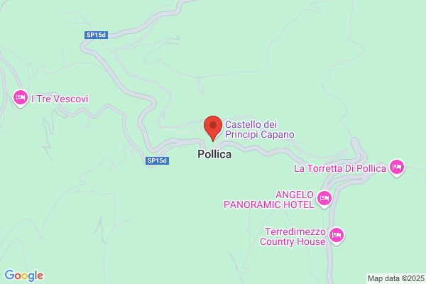 FONDAZIONE ELSA VASSALLI