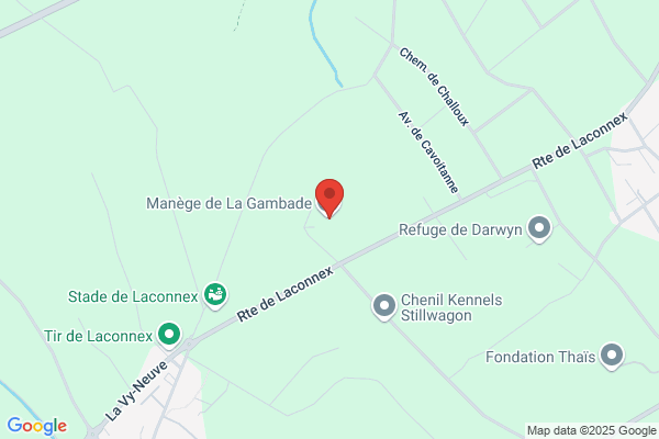 Manège de la Gambade