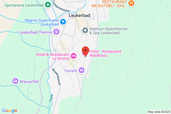Hotel - Restaurant Waldhaus