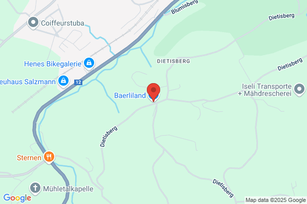 Baerliland‍