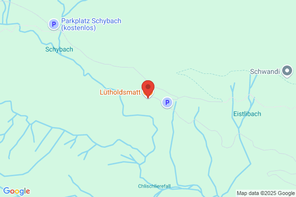 Restaurant Luetholdsmatt