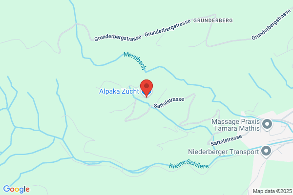 Alpaka Zucht
