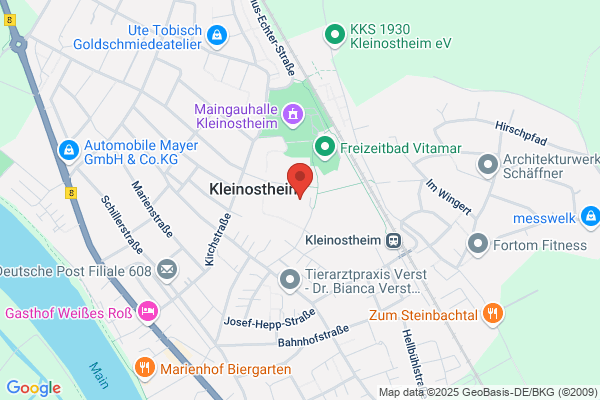Vinzenz Geiser