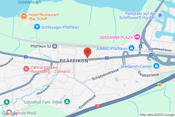 dieci Pizza Kurier Pfäffikon SZ