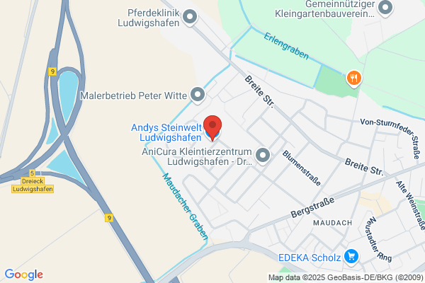 Annette und Freddie Kueng Stiftung