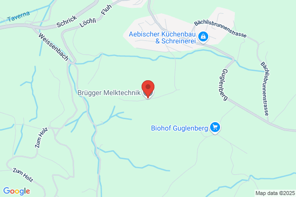 Bruegger Melktechnik