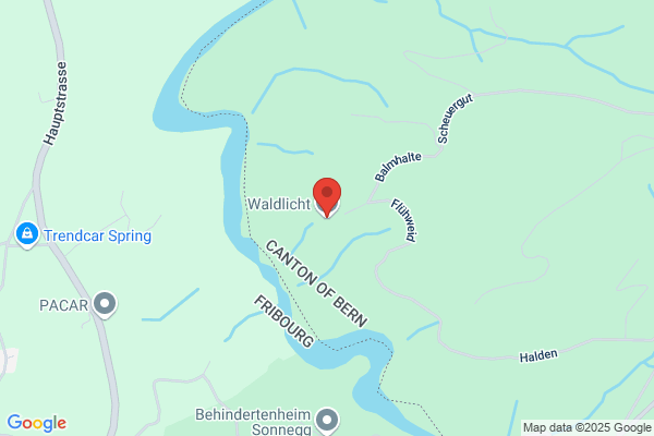 Waldlicht Herr Steiner Ewald