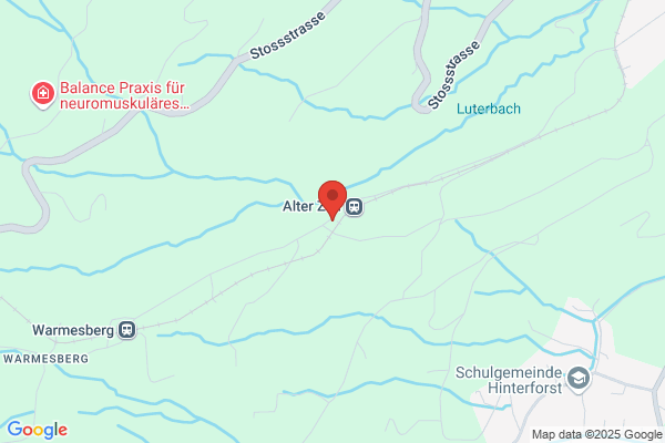 Restaurant Alter Zoll