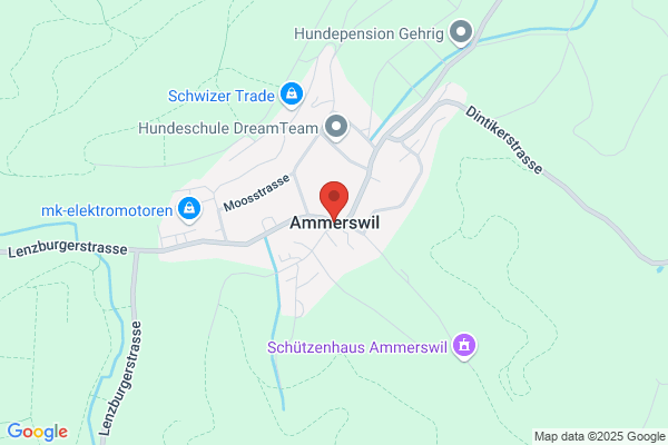 Arnold von Fluee