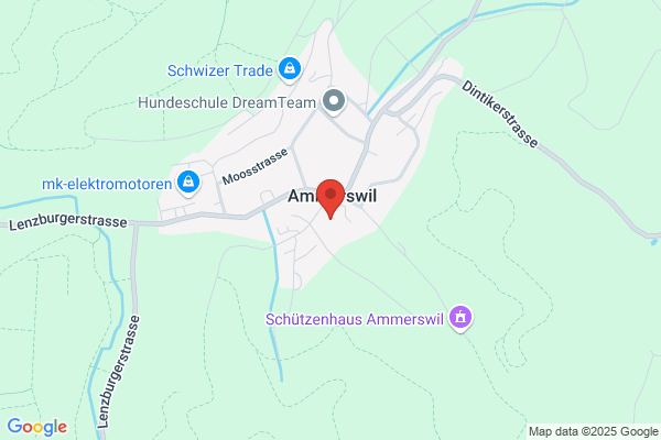 Dorfmatt Immobilien AG