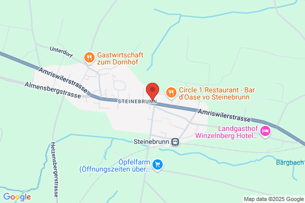 Restaurant Gruener Baum