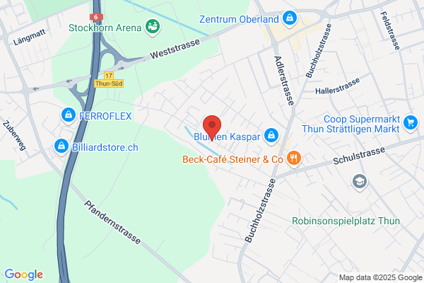 Gipsergeschaeft Ventura