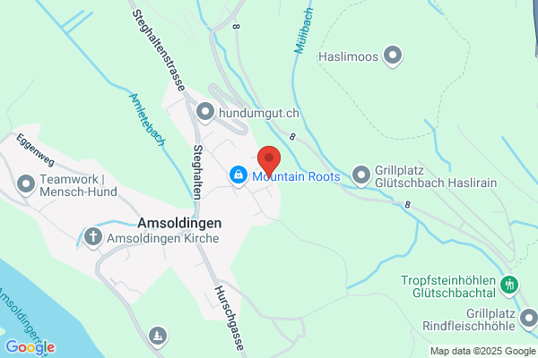 Hans-Ulrich Wenger GmbH