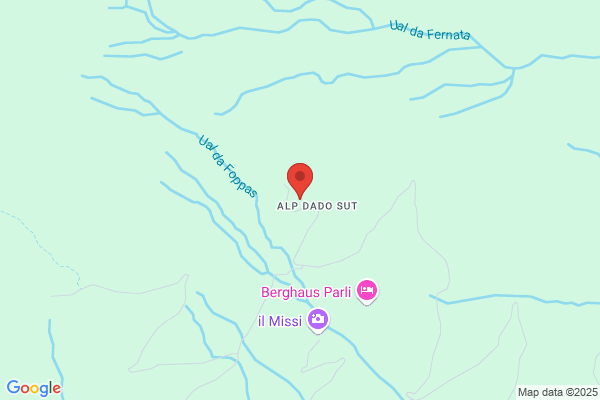 Pfaltz AG
