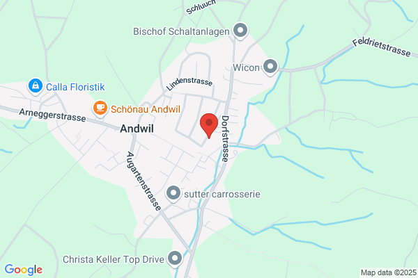 VFB Hansruedi Rieben
