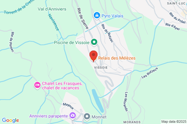 Hôtel Relais des Mélèzes